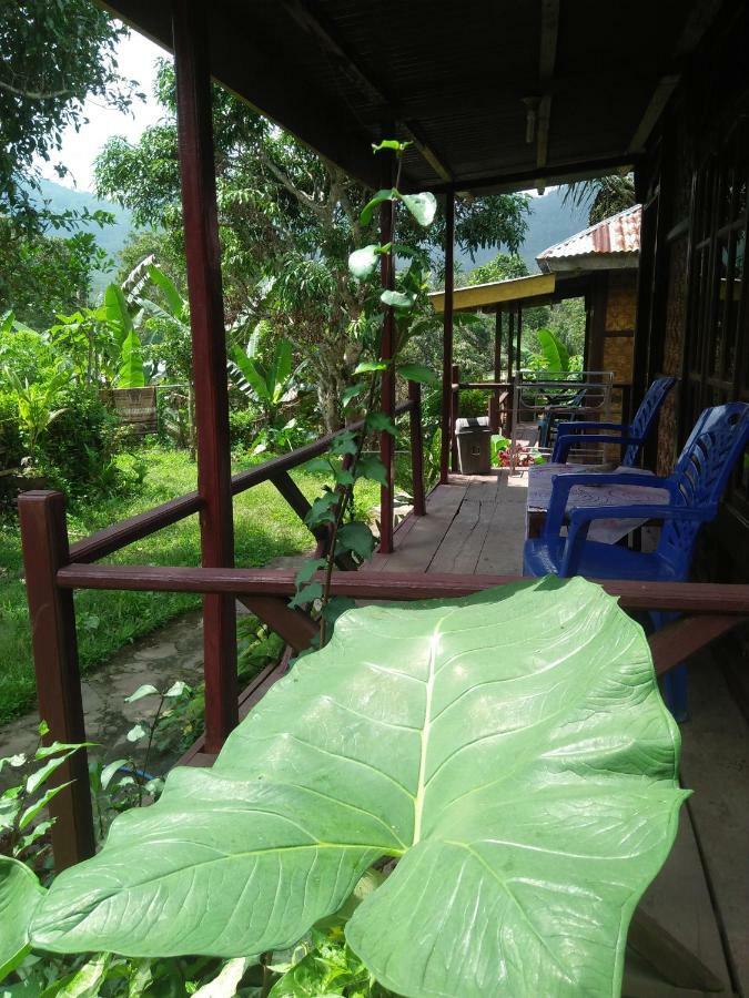 Hôtel Palm Bungalow à Kelimutu Extérieur photo