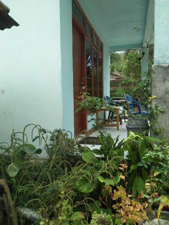 Hôtel Palm Bungalow à Kelimutu Extérieur photo