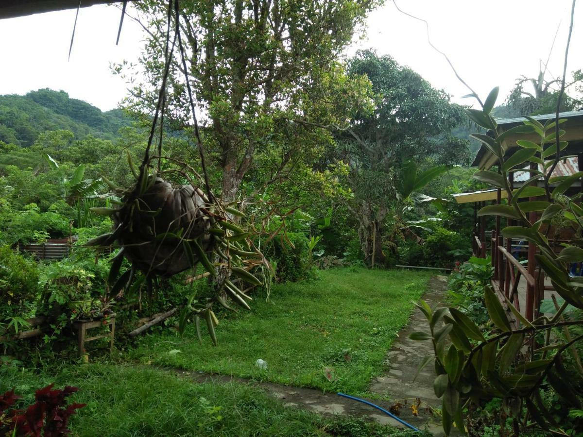 Hôtel Palm Bungalow à Kelimutu Extérieur photo