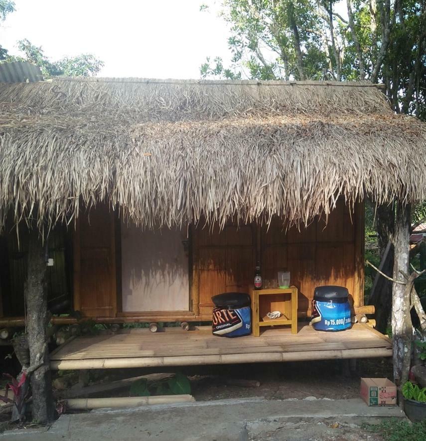 Hôtel Palm Bungalow à Kelimutu Extérieur photo